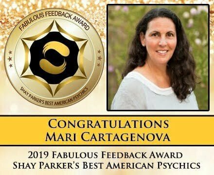 2019 Fabulous Feedback Award Winner Feedback2019banner