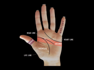 hand sample venus mars & basic lines
